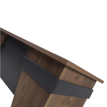 Мениджърски кабинет EFES