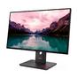 Монитор Lenovo ThinkVision T24-40 23.8' IPS, WLED, 1920x1080, 4ms, 250 cd/m2, 1500:1, 48Hz-120Hz, Tilt, Swivel, Pivot, Height Adjust Stand, USB-A,B,C, HDMI, DP, VGA