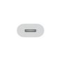 Кабел Apple USB-C to Lightning Adapter