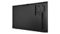 Монитор Lenovo ThinkVision E65 LFD 64.5' UHD (3840 x 2160), IPS, AG, 60Hz, 16:9, 8ms, 400 cd/m?, 5000:1, Speakers, Tilt, 3-year