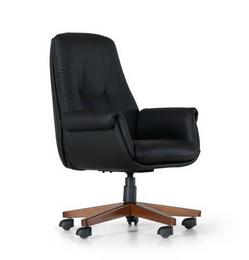 Директорски стол БАРС SLD 10N