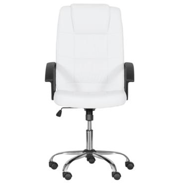 Директорски стол ГРЕГ-снимка отпред, ергономичен